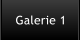 Galerie 1