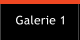 Galerie 1